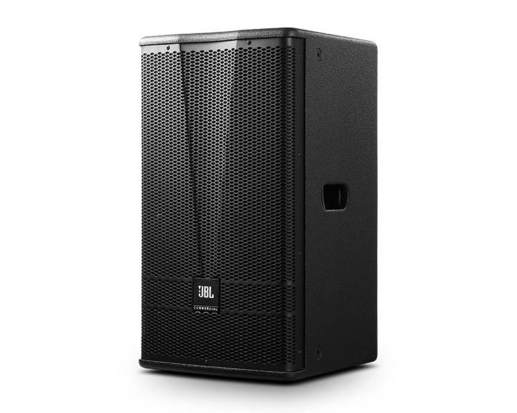 CV3010/99 10寸全頻音箱